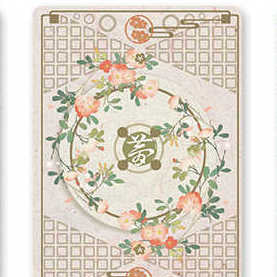 Bicycle Tally-Ho Dream Playing Cards
